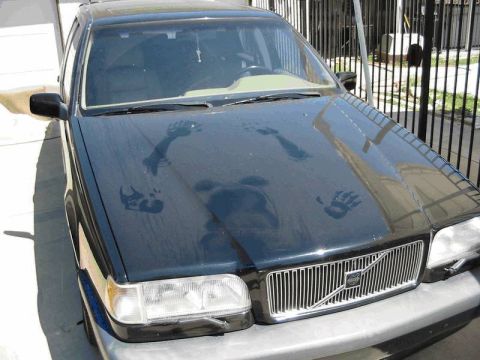 1994 Jeep Cherokee “pig dog”