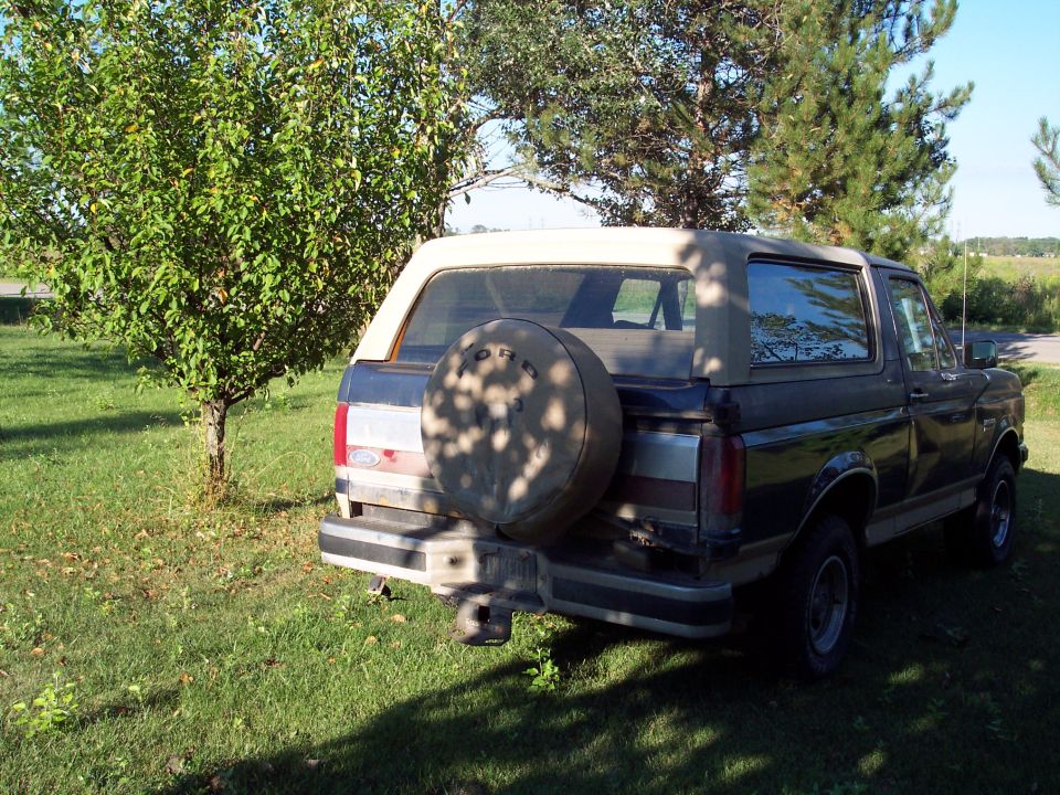 Ford Bronco parked in grassy area with trees. Spare tire mounted on rear door