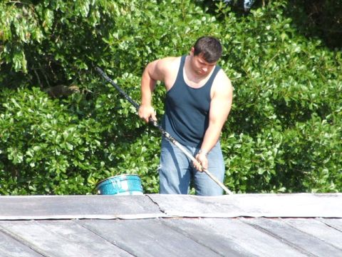1966 Ford Ranchero - A man works on a roof with a pole and a drum, surrounded by green foliage.