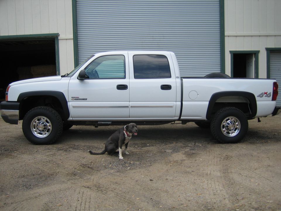 White Chevrolet Silverado 2500HD crew cab 4x4 pickup side view on gravel with dog sitting nearby