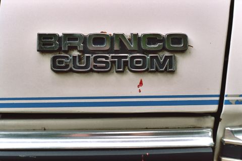 1979 Ford Bronco - Close-up of a Bronco Custom emblem on a white vehicle, showing a blue stripe below.