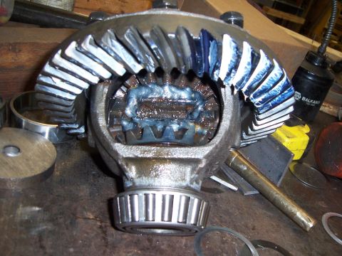 1983 Ford Bronco - Differential gears prepared with lubricant, ready for assembly or inspection.