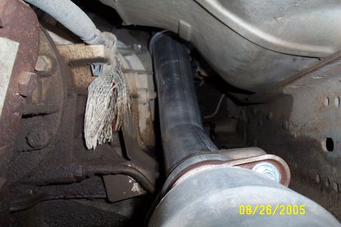 1995 Ford F-350 - Close-up view of the exhaust system and transmission components on a vehicle.