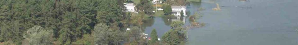 Flooded landscape with houses and trees