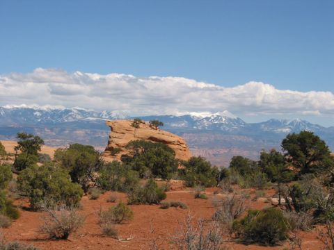 1981 Ford Bronco - A vast desert scene unfolds with rock formations and distant snow-capped mountains under a bright blue sky.