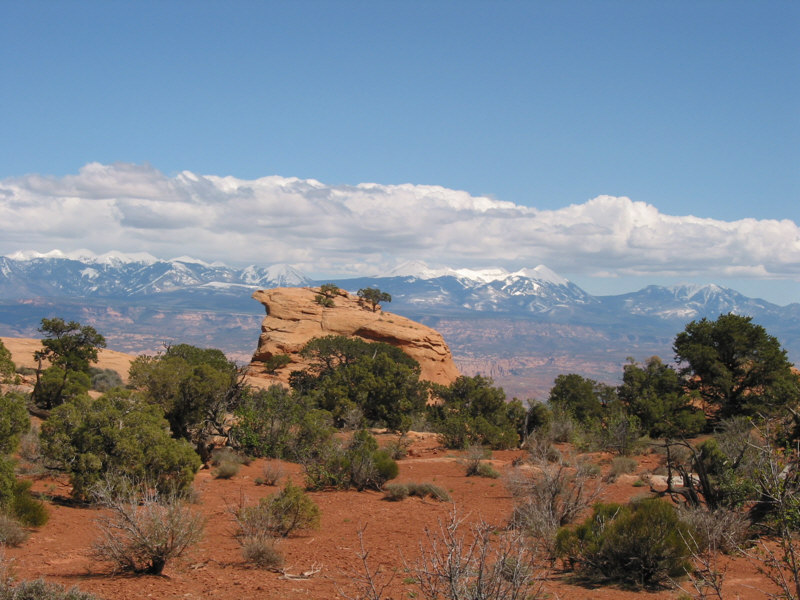 Desert landscape with rock formations, sparse vegetation, and snow-capped mountains under a blue sky