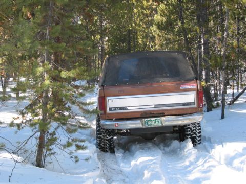 1981 Ford Bronco - 1981 Ford Bronco navigating a snowy trail in a wooded area.