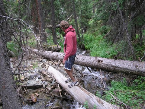 1986 Ford Bronco - A person navigates a forest stream by balancing on a large fallen log.