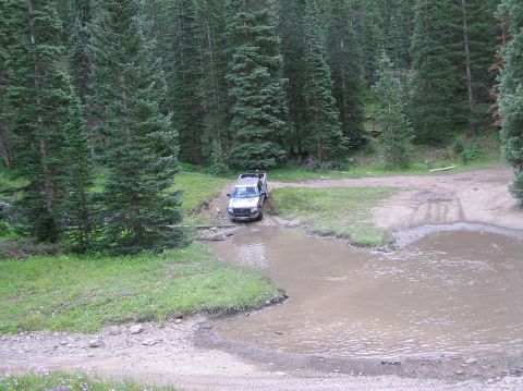 1986 Ford Bronco - A pickup truck navigates a water obstacle on a dirt road surrounded by tall pine trees.