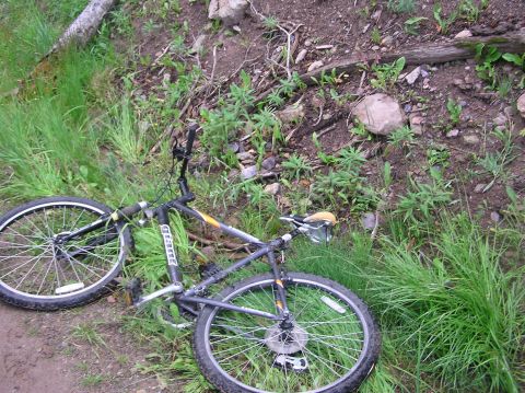 1986 Ford Bronco - A bicycle rests on the ground next to a dirt path and overgrown vegetation.