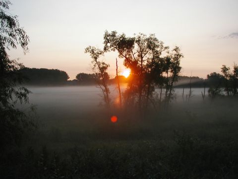 1978 Ford Bronco - I drove way back into this marsh, camped out, and awoke to this, which was quite amazing...