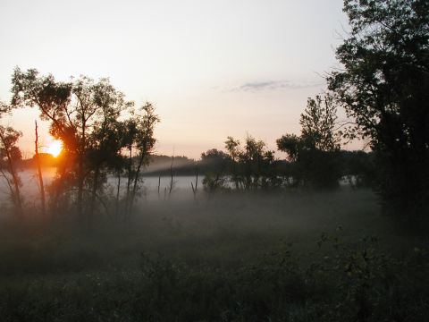 1978 Ford Bronco - The sun rises through a light fog, casting a warm glow over a rural landscape.