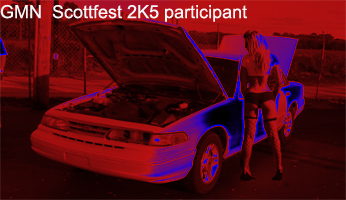 1997 Ford Crown Victoria - A 1997 Ford Crown Victoria is shown with its hood open and a woman standing next to it.