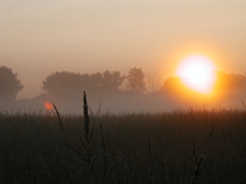 1978 Ford Bronco - morning sunrise, around 5:45 am. the day proved just as beautiful.
