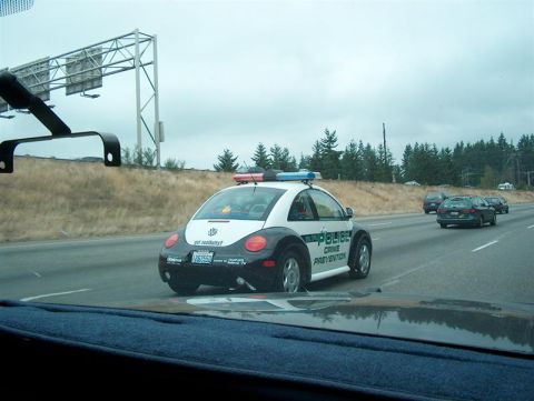 2001 Ford Crown Victoria photo