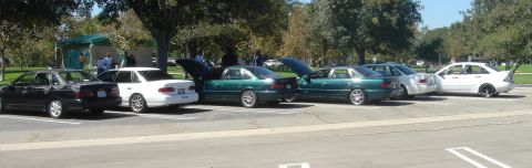 1991 Ford Taurus - A lineup of sedans, including a black, white, and green model, are parked in a lot with trees in the background.