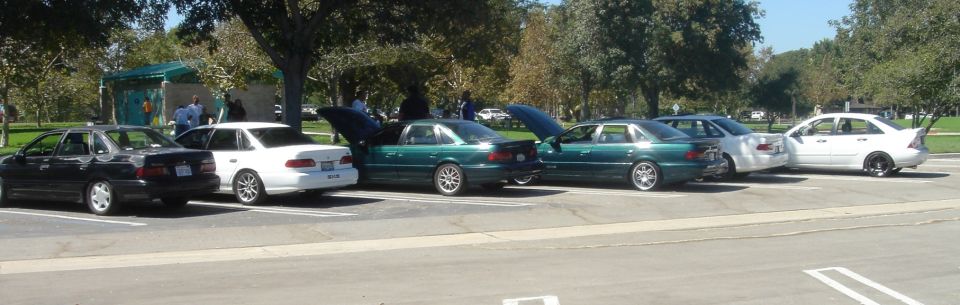 Several sedans parked side-by-side, some with hoods or trunks open