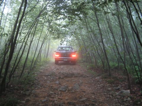 1992 Ford Bronco - A 1992 Ford Bronco navigates a rocky path through a dense, misty forest.