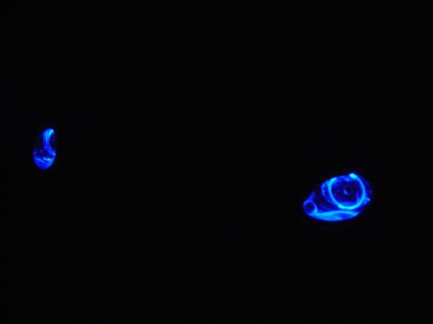 1998 Ford Taurus - A car part glows with blue light in the dark.