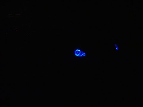 1998 Ford Taurus - A close-up of a blue glowing car part is visible against a black background.