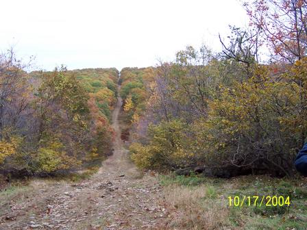 2001 Ford F-150 - A dirt road winds through trees with autumn leaves, leading to a distant hilltop.