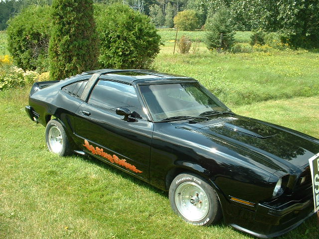 Black coupe with louvers on rear window, custom side graphics, and aftermarket wheels parked on grass