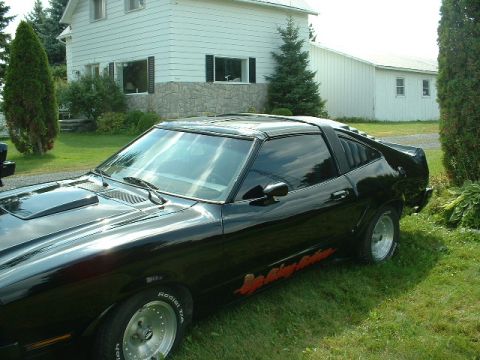 1978 Ford Mustang II - A black coupe with a distinctive rear window louvers and a flame decal is parked on a grassy lawn in front of a house.