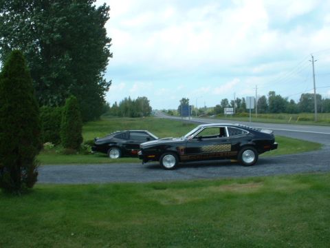 1978 Ford Mustang II - Two black 1978 Ford Mustang II cars are parked side-by-side on a grassy area next to a road.
