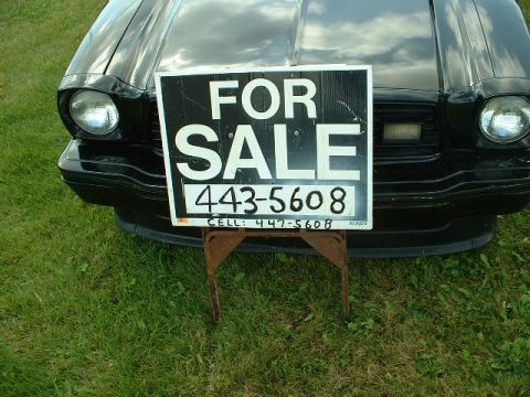 1978 Ford Mustang II - A black car is parked on grass with a 'FOR SALE' sign in front of it.