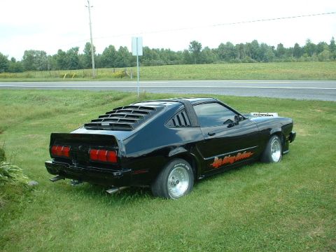 1978 Ford Mustang II - Black 1978 Ford Mustang II coupe with distinctive rear window louvers sits on a grassy area.