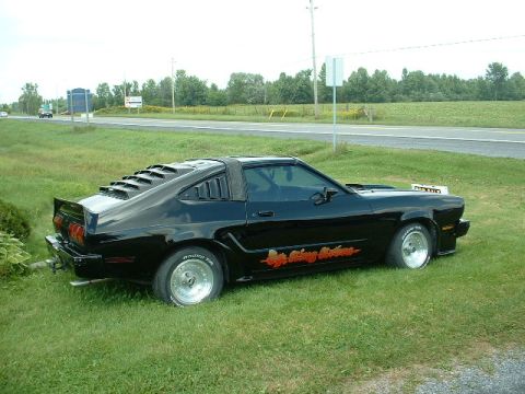 1978 Ford Mustang II - A black 1978 Ford Mustang II coupe is parked on the grass next to a highway, distinctive rear window louvers and side decals.
