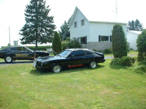 1978 Ford Mustang II - Two black 1978 Ford Mustang II Cobra II cars are parked on a lawn in front of a house. The car in the foreground has red side graphics.