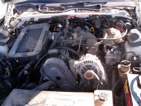 1988 Ford Thunderbird photo