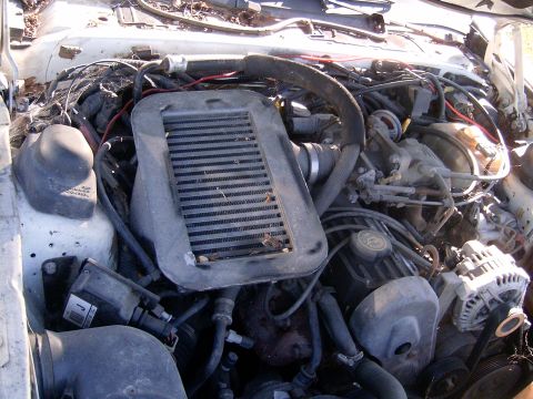 1988 Ford Thunderbird photo