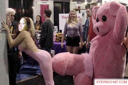 2000 Isuzu Rodeo - A group of people are gathered around a large pink pig costume at what appears to be an indoor event or convention setting.