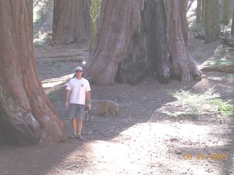 1994 Ford Bronco - A man stands among giant trees in a forest, with a date stamp indicating the photo was taken on August 25, 2005.