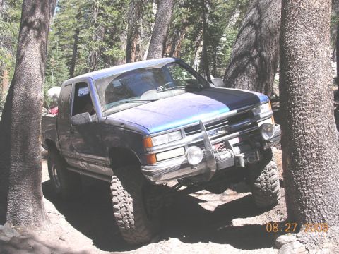 1994 Ford Bronco - A blue pickup truck navigates a wooded trail, equipped with a winch and brush guard.