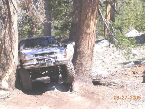 1994 Ford Bronco - Pickup truck maneuvering through a tight spot on a wooded trail.
