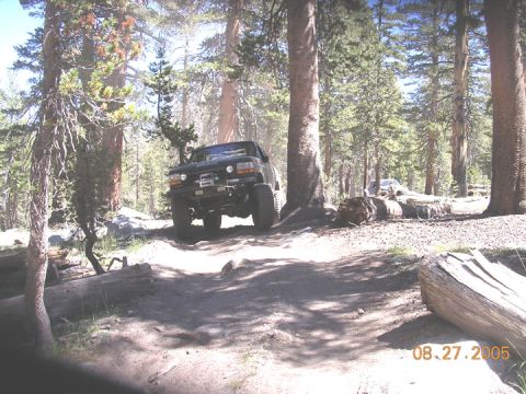 1994 Ford Bronco - A black 1994 Ford Bronco navigates a wooded trail, with another vehicle visible in the background.
