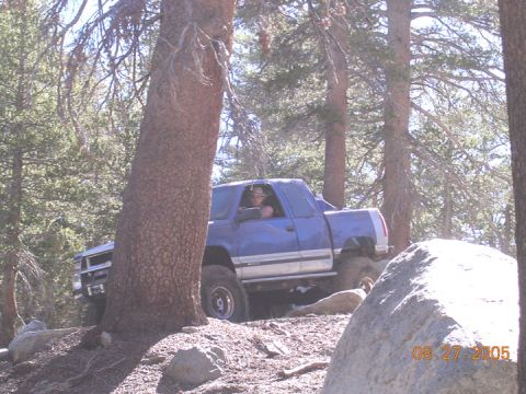 1994 Ford Bronco - A blue pickup truck navigates a wooded, rocky terrain on a sunny day.