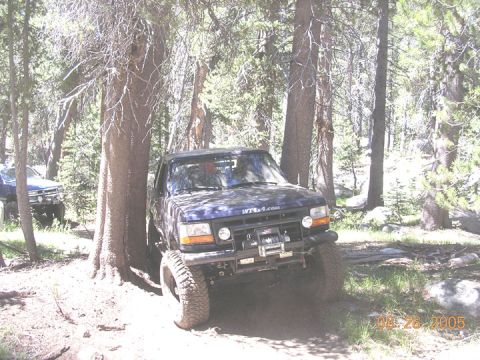1994 Ford Bronco - A dark blue SUV navigates a wooded trail, with another vehicle in the background.