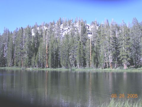 1994 Ford Bronco - A calm lake sits before a dense forest and rocky mountain backdrop on a sunny day.