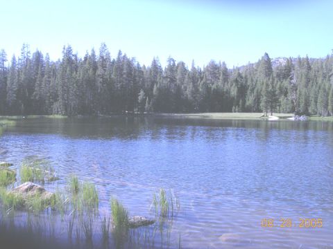 1994 Ford Bronco - A tranquil lake scene surrounded by a dense forest, with grass and rocks in the foreground and a date stamp visible.