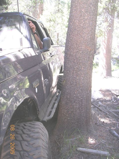 1994 Ford Bronco - A dark SUV is maneuvering off-road, very close to a large tree.