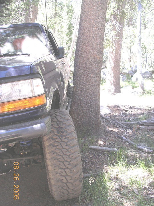 1994 Ford Bronco front fender and tire next to a tree