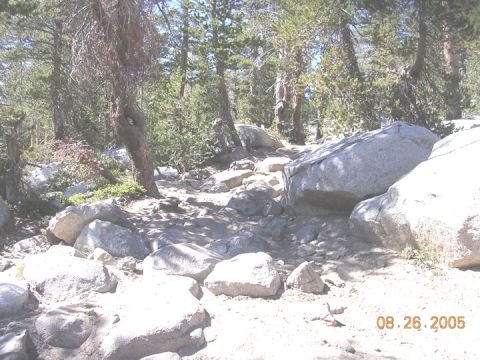 1994 Ford Bronco - A rocky trail winds through a forest with large boulders and pine trees.