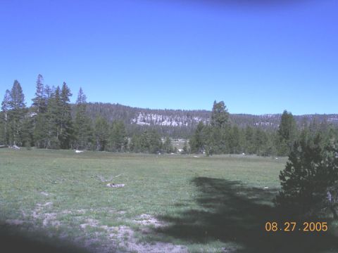 1994 Ford Bronco - A wide view of a mountain meadow surrounded by pine forests under a clear blue sky.