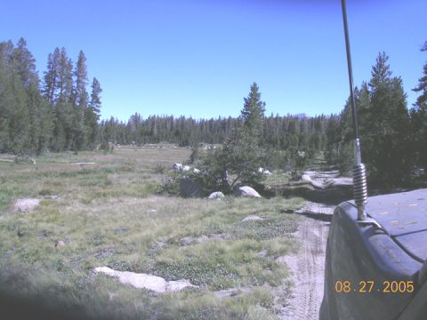 1994 Ford Bronco - The photo shows a vehicle on a dirt track in a natural landscape with trees and grass. A date stamp is visible.