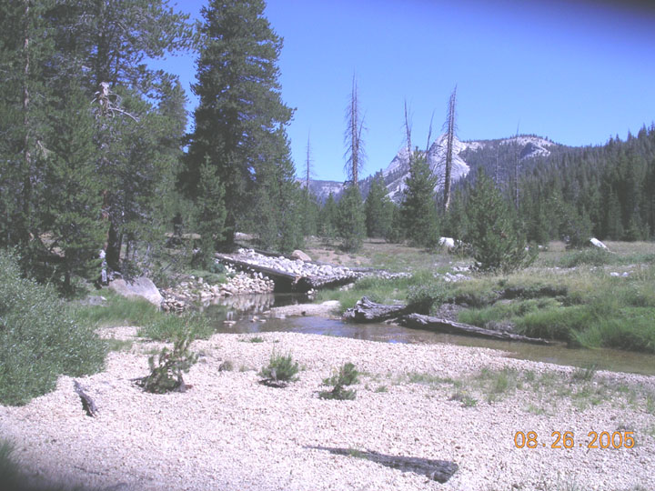 Rocky stream bed with trees and mountains under a clear blue sky