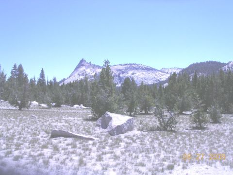 1994 Ford Bronco - Mountain landscape with trees and rocks under a clear sky. Date stamp visible.